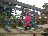 Bild von Lara - Bild 6