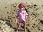 Bild von Lara - Bild 4