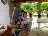 Bild von Lara - Bild 15