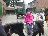 Bild von Lara - Bild 16