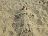 Bild von Lara - Bild 11