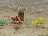 Bild von Lara - Bild 12