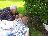 Bild von Lara - Bild 19