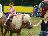Bild von Lara - Bild 1