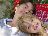 Bild von Lara - Bild 6
