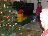 Bild von Lara - Bild 3