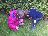 Bild von Lara - Bild 22