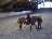 Bild von Lara - Bild 8