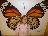 Bild von Lara - Bild 10