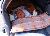 Bild von Lara - Bild 1