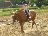 Bild von Lara - Bild 14