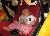 Bild von Lara - Bild 11