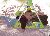 Bild von Lara - Bild 10