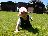 Bild von Lara - Bild 7