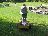 Bild von Lara - Bild 5