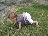 Bild von Lara - Bild 4