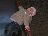 Bild von Lara - Bild 7