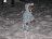 Bild von Lara - Bild 10