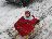 Bild von Lara - Bild 14
