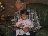 Bild von Lara - Bild 7